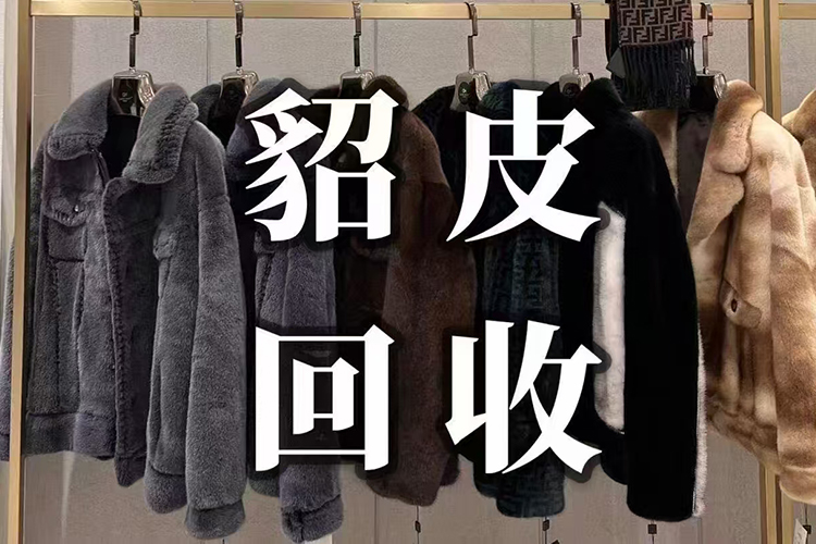 图片四